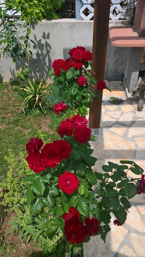 Holiday Home Arbanase Zadar Bagian luar foto